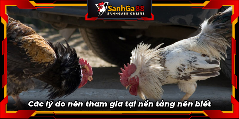 Các lý do nên tham gia tại nền tảng nên biết