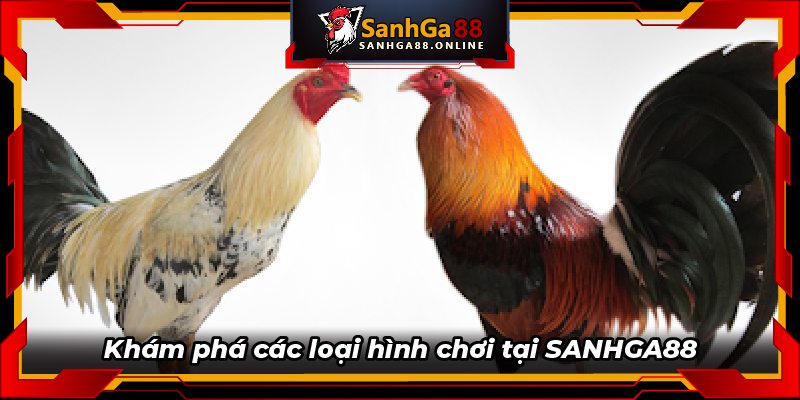 Khám phá các loại hình chơi tại SANHGA88