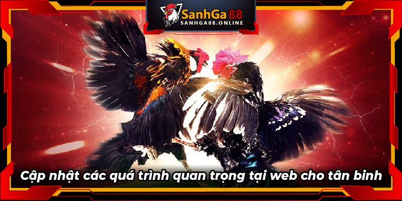 Cập nhật các quá trình quan trọng tại web cho tân binh