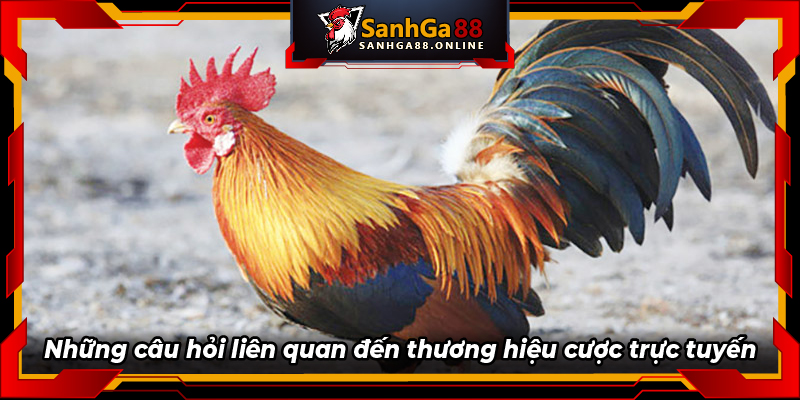 Hứa hẹn trong tương lai của SANHGA88