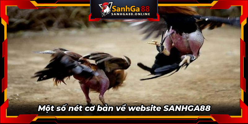 Một số nét cơ bản về website SANHGA88