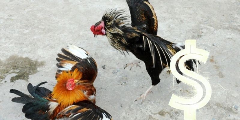 Đặc quyền khủng trong giao dịch nạp tiền Sanhga88