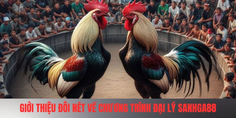 Giới thiệu đôi nét về chương trình đại lý SANHGA88